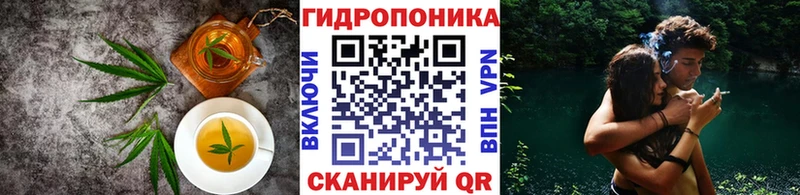 Canna-Cookies марихуана  Яхрома 