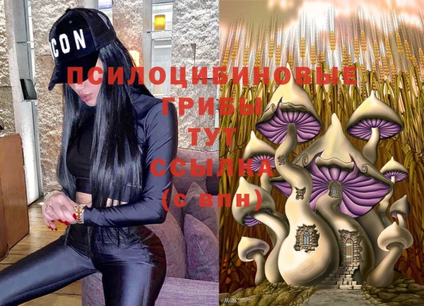 спайс Белоозёрский