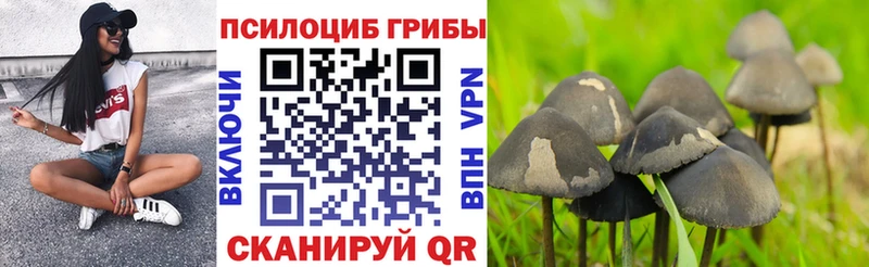 Псилоцибиновые грибы Magic Shrooms  OMG сайт  это официальный сайт  Яхрома 