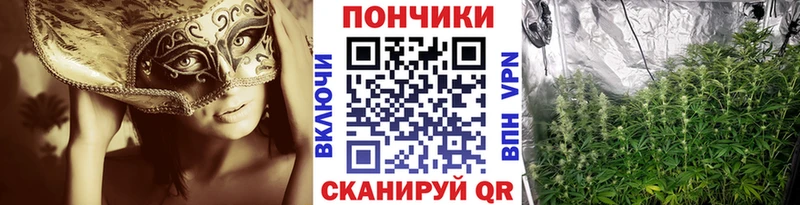 Каннабис LSD WEED  МЕГА зеркало  Яхрома 